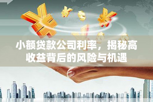 科尔沁小额贷款公司利率，揭秘高收益背后的风险与机遇