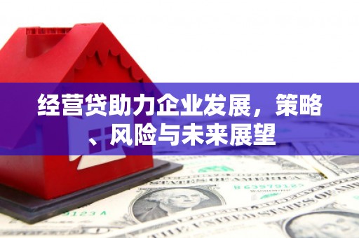 科尔沁经营贷助力企业发展，策略、风险与未来展望