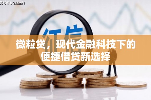 科尔沁微粒贷，现代金融科技下的便捷借贷新选择