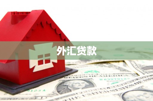 科尔沁外汇贷款