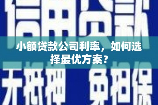 科尔沁小额贷款公司利率，如何选择最优方案？
