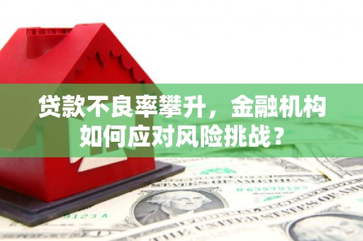 科尔沁贷款不良率攀升，金融机构如何应对风险挑战？