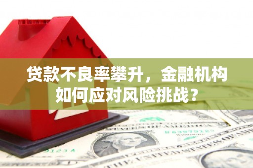 科尔沁贷款不良率攀升，金融机构如何应对风险挑战？