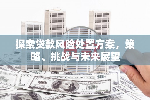科尔沁探索贷款风险处置方案，策略、挑战与未来展望