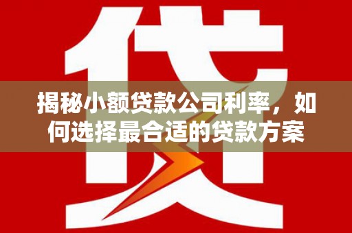 科尔沁揭秘小额贷款公司利率，如何选择最合适的贷款方案