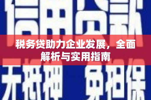 科尔沁税务贷助力企业发展，全面解析与实用指南