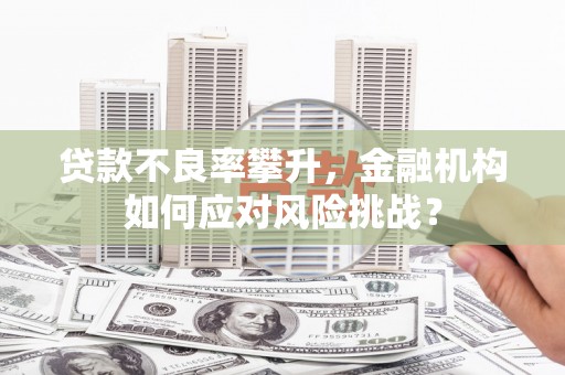 科尔沁贷款不良率攀升，金融机构如何应对风险挑战？