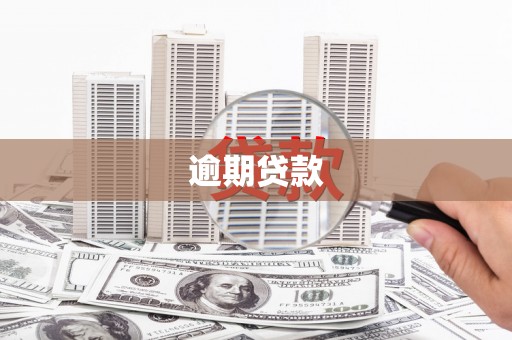 科尔沁逾期贷款