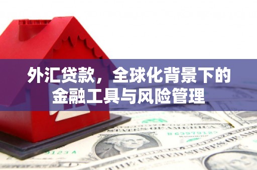 科尔沁外汇贷款，全球化背景下的金融工具与风险管理