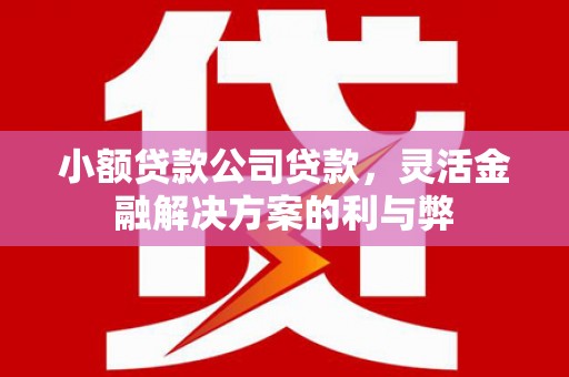 科尔沁小额贷款公司贷款，灵活金融解决方案的利与弊